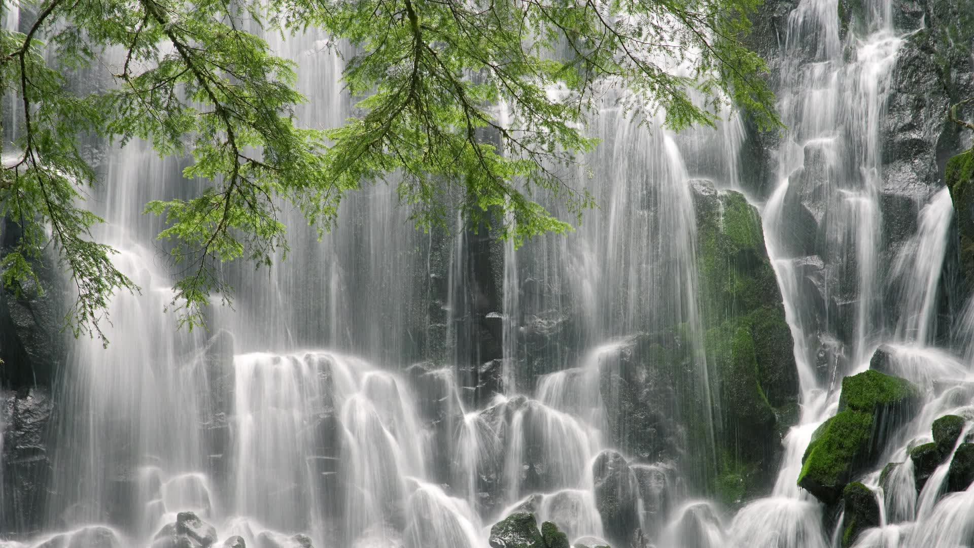 世界乒乓球联赛青训导师国际交流影像集第14版上线，世界乒乓球邀请赛